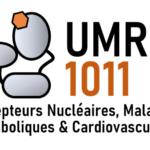 INSERM UMR1011, Institut Pasteur de Lille